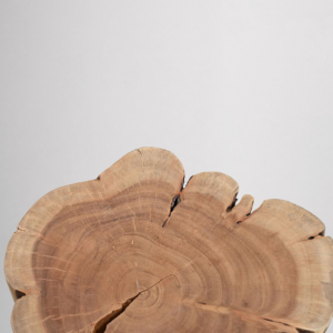 Solid Teak Wood Stump Side Table